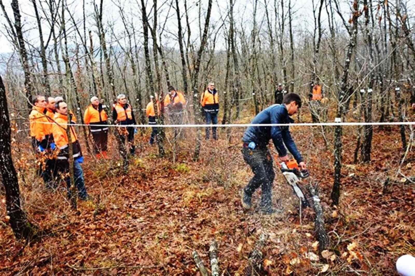 Samsun Orman Köylülerinin Endüstriyel Odun Üretimi ile 698 Milyon TL Gelir Elde Etti