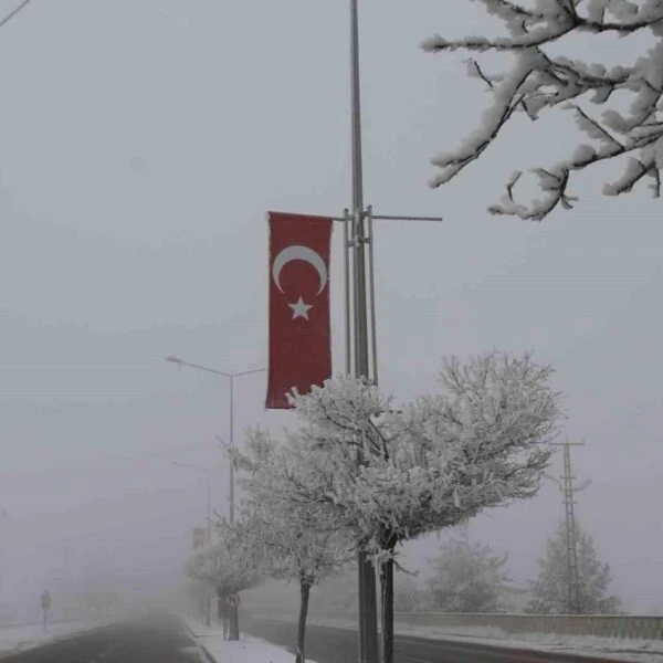 Sibirya soğuklarının etkisiyle beyazlanan Malazgirt ilçesi-5