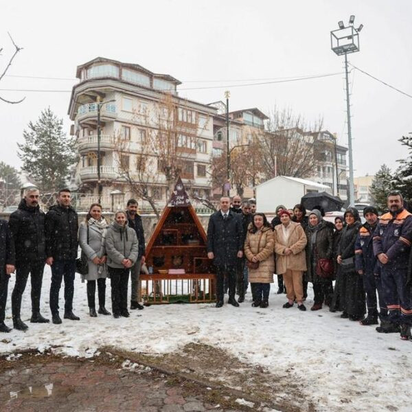 Sivas Belediyesi'nin sokak kedileri için yerleştirdiği kedi evi-1