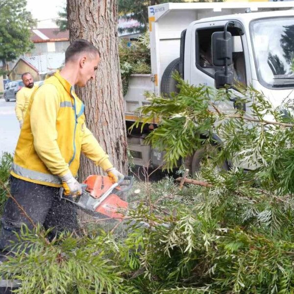 Söke'deki bir parkta gerçekleştirilen peyzaj çalışması-5