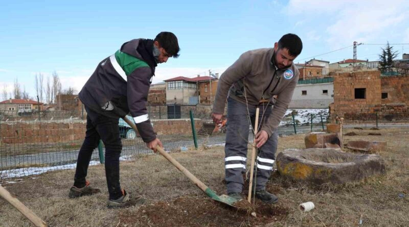 Talas Belediyesi, Kırsal Mahallelerde Kamu Alanlarına Ağaçlandırma Çalışması Başlattı 1