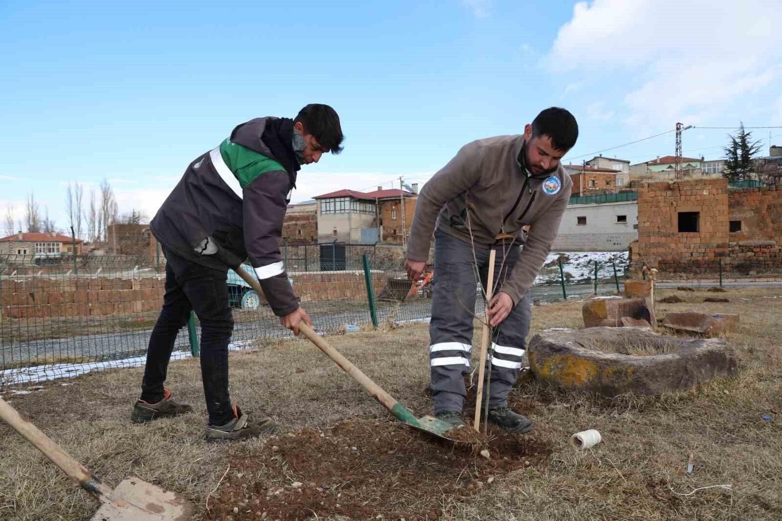 Talas Belediyesi, Kırsal Mahallelerde Kamu Alanlarına Ağaçlandırma Çalışması Başlattı