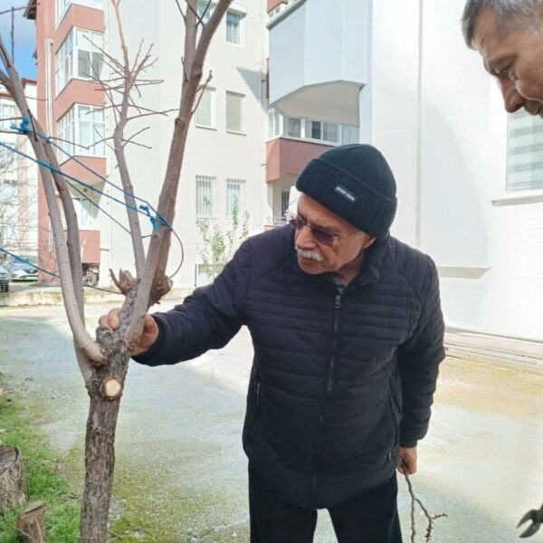 Tarım üreticileri hastalık ve zararlılarla mücadele eğitimlerinde-1