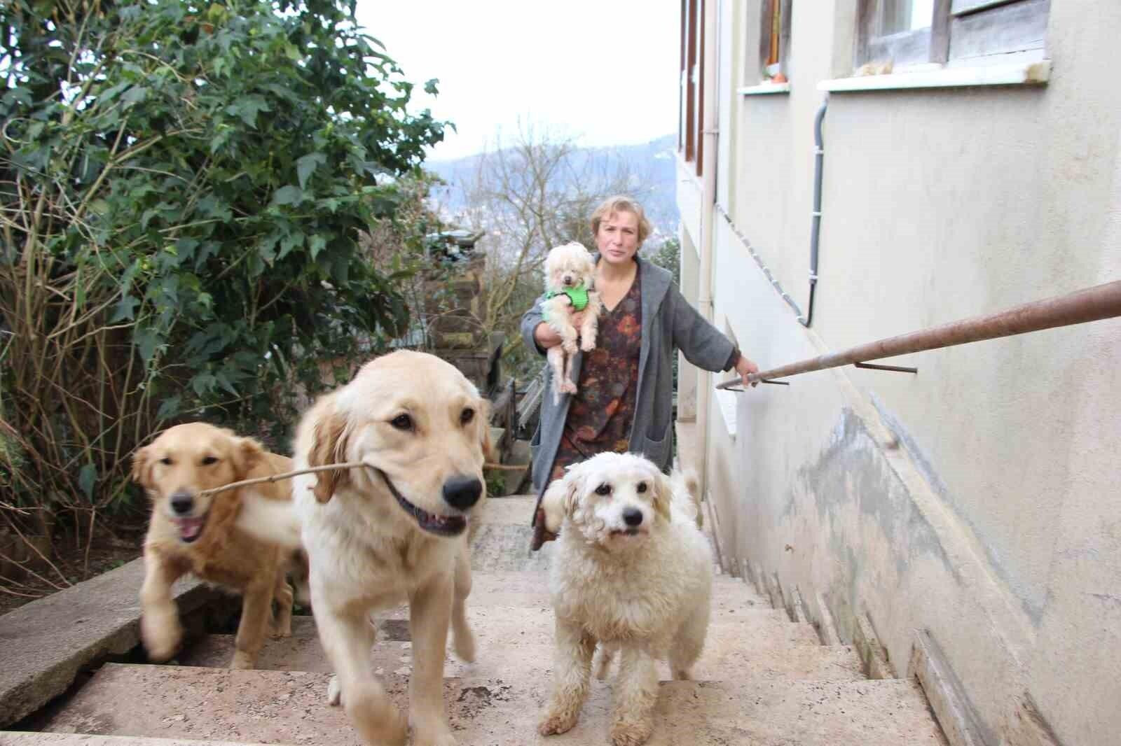 Trabzonlı Nurhayat Aslanoğlu, Hayvan Sever Kalbiyle 35 Köpeğe Barınak Açtı