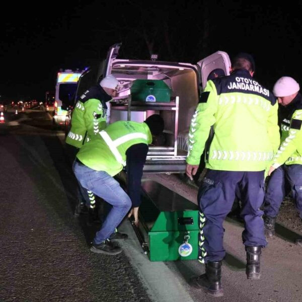 Trafik kazasında hasarlı araçlar-1