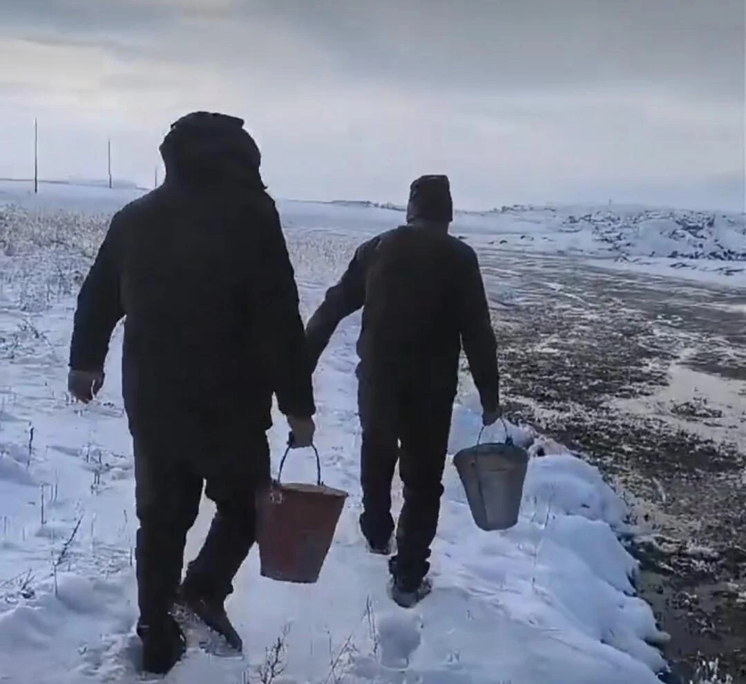 Van’da Doğa Koruma Ekipleri Yabani Kuşlara Yem Bıraktı