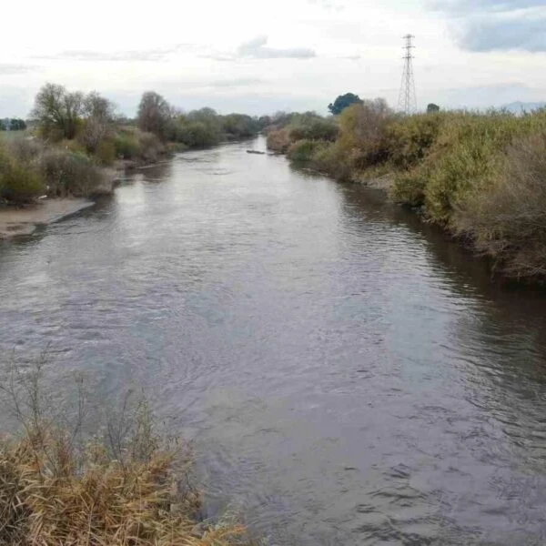 Yağışlarla Bereketlenen Büyük Menderes Nehri-1