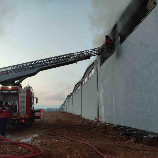 Yangından etkilenen kağıt fabrikası-2