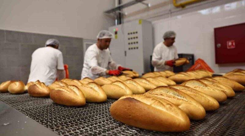 Antalya'da Halk Ekmek'in Kalitesi ve Uygun Fiyatı Vatandaşlardan Yoğun İlgi 1