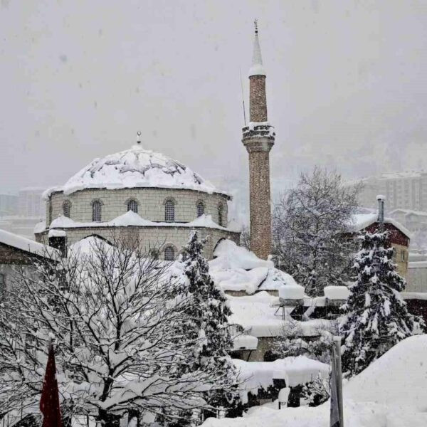 Artvin'de karla mücadele çalışmaları-2