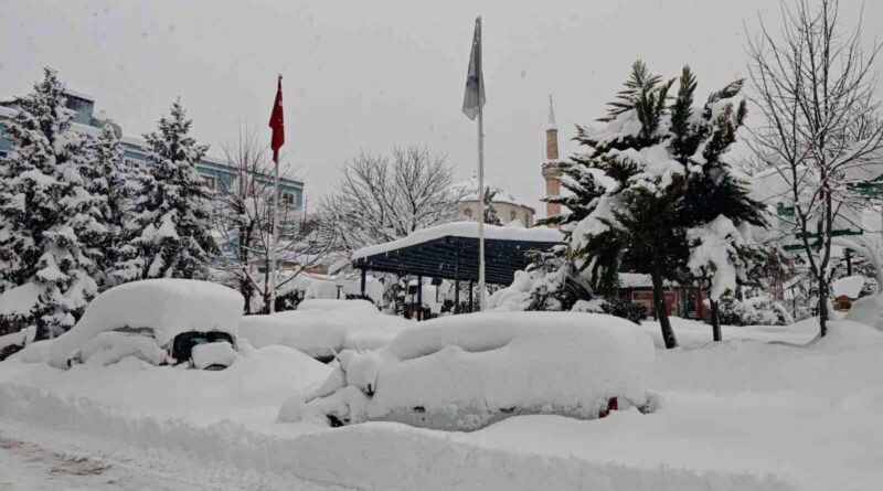 Artvin'de Yoğun Kar Yağışı Şehir Hayatını Olumsuz Etki Ediyor 1