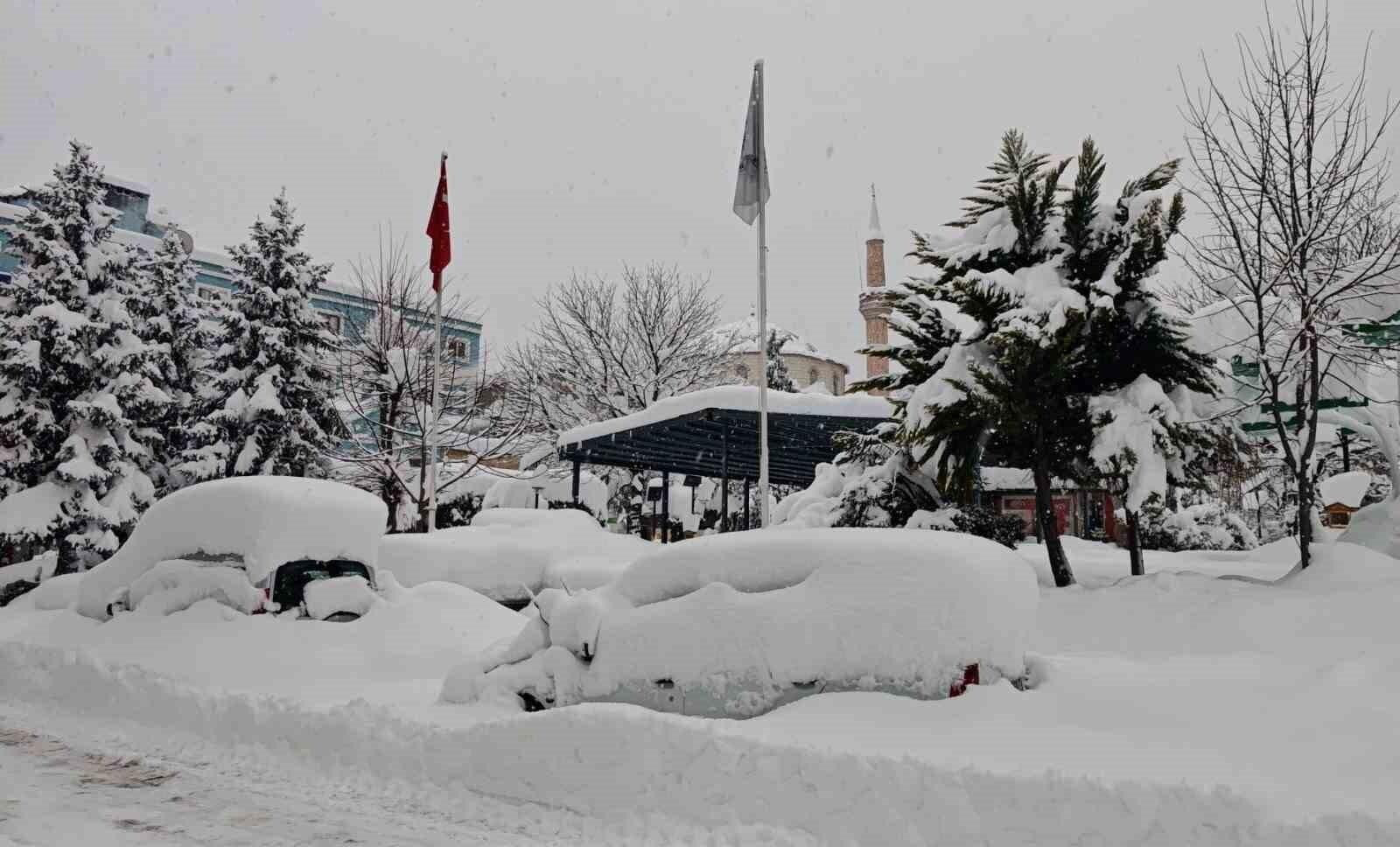 Artvin’de Yoğun Kar Yağışı Şehir Hayatını Olumsuz Etki Ediyor