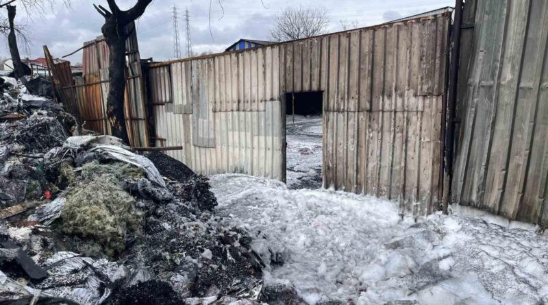 Avcılar'da Geri Dönüşüm Tesisinde Yangın, Hayvanlar Öldü 1