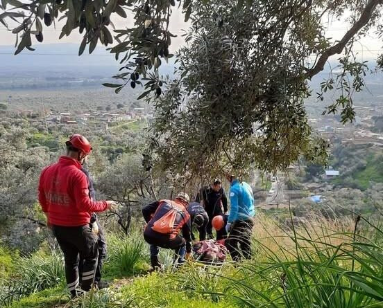 Aydın'ın Germencik'te Zeytin Ağaçından Düşen Vatandaş Sedye ile Ambulansa Taşındı 1