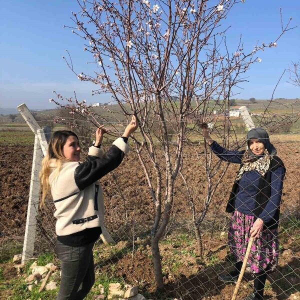 Balıkesir'de baharın erken geldiğini gösteren manzara