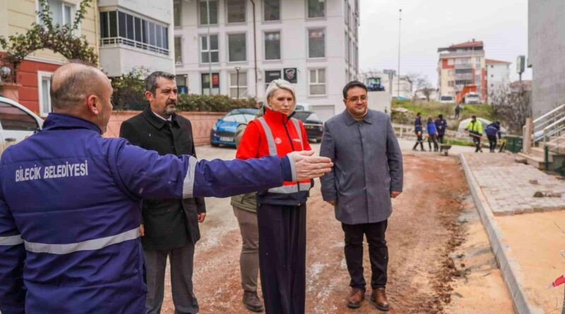 Bilecik Belediye Başkanı Melek Mızrak Subaşı Hürriyet Mahallesinde Yürütülen Çalışmaları İnceledi 1