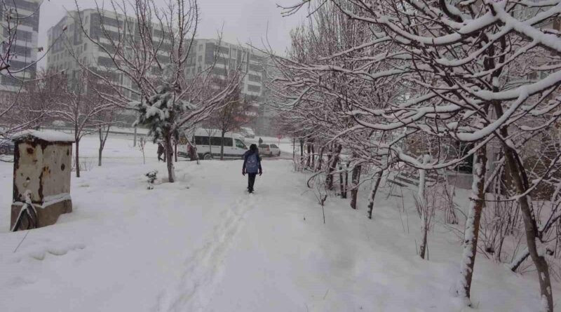 Bitlis'te Kar Yağışı Nedeniyle 111 Köy Ulaşıma Kapandı 1