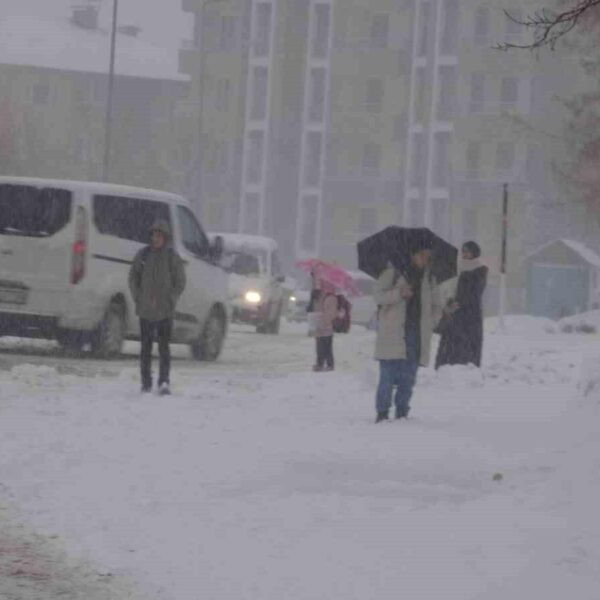 Bitlis'te karla mücadele çalışmaları-2