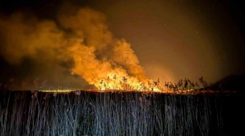 Burdur'un Yamadı Gölü'nde İkinci Yangın, Ekiplerin 5 Saatlik Çalışmasıyla Kontrol Altına Alındı 1