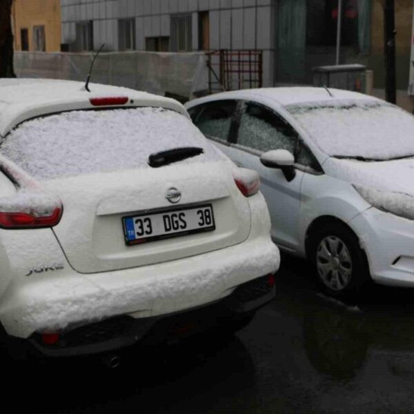 Diyarbakır'da kar yağışı-3