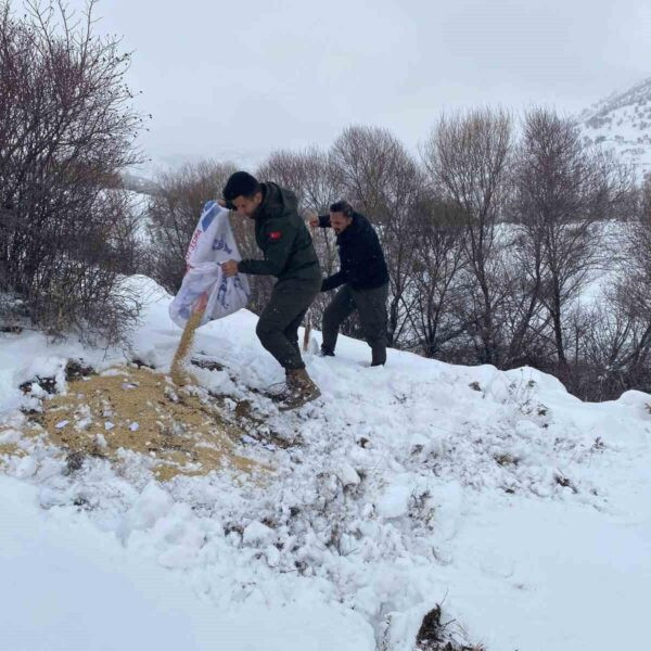 DKMP ekipleri yaban hayvanlarına yem bırakıyor-1