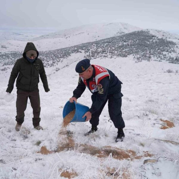 Doğa koruma çalışması