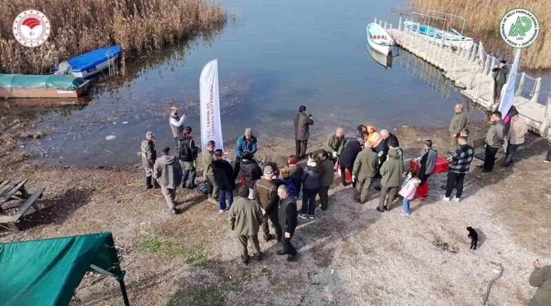 Dünya Sulak Alanlar Günü: Bursa ve Yalova'da Yaban Ördekleri Suya Salındı 4