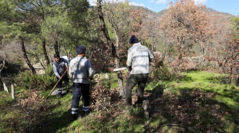 Efeler Belediyesi, Gölcük Mahallesi Mezarlığında Kapsamlı Bakım ve Onarım Çalışması Gerçekleştirdi 1