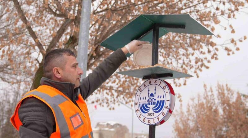 Elazığ’da yaban ve sokak hayvanlarına mama desteği 1