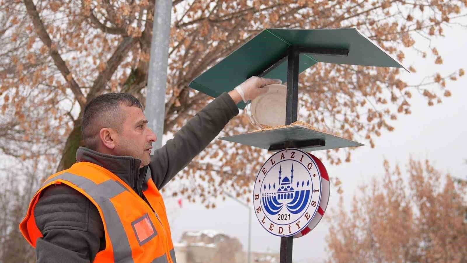 Elazığ’da yaban ve sokak hayvanlarına mama desteği