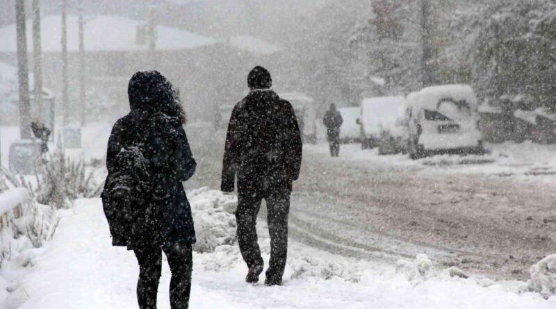 Erzincan'da Soğuk Hava Etkisi, Buzlanma ve Don Tehlikesi 1