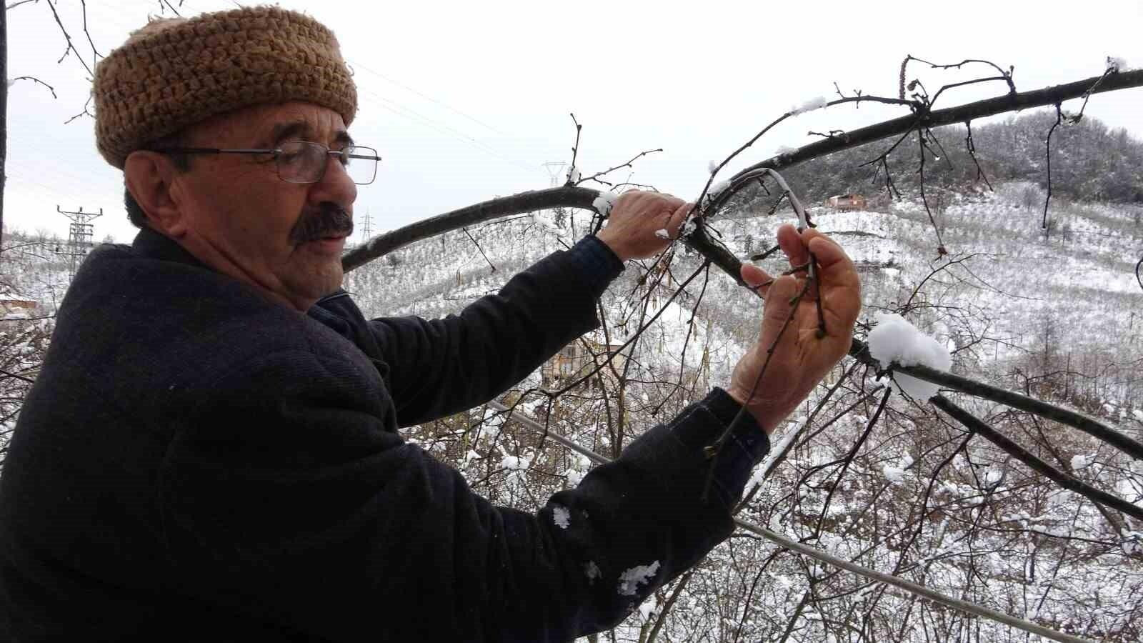 Giresun’da Kar Yağışı Fındık Üreticilerini Sevindirdi