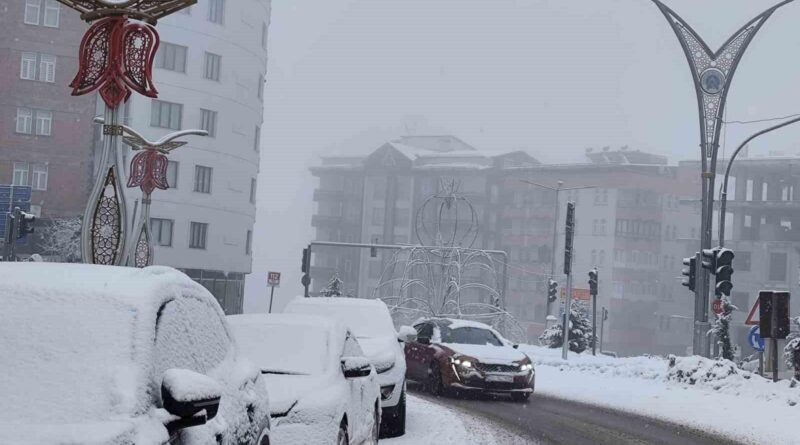 Hakkari'de Kar ve Sis Hayatı Olumsuz Etkiledi 1