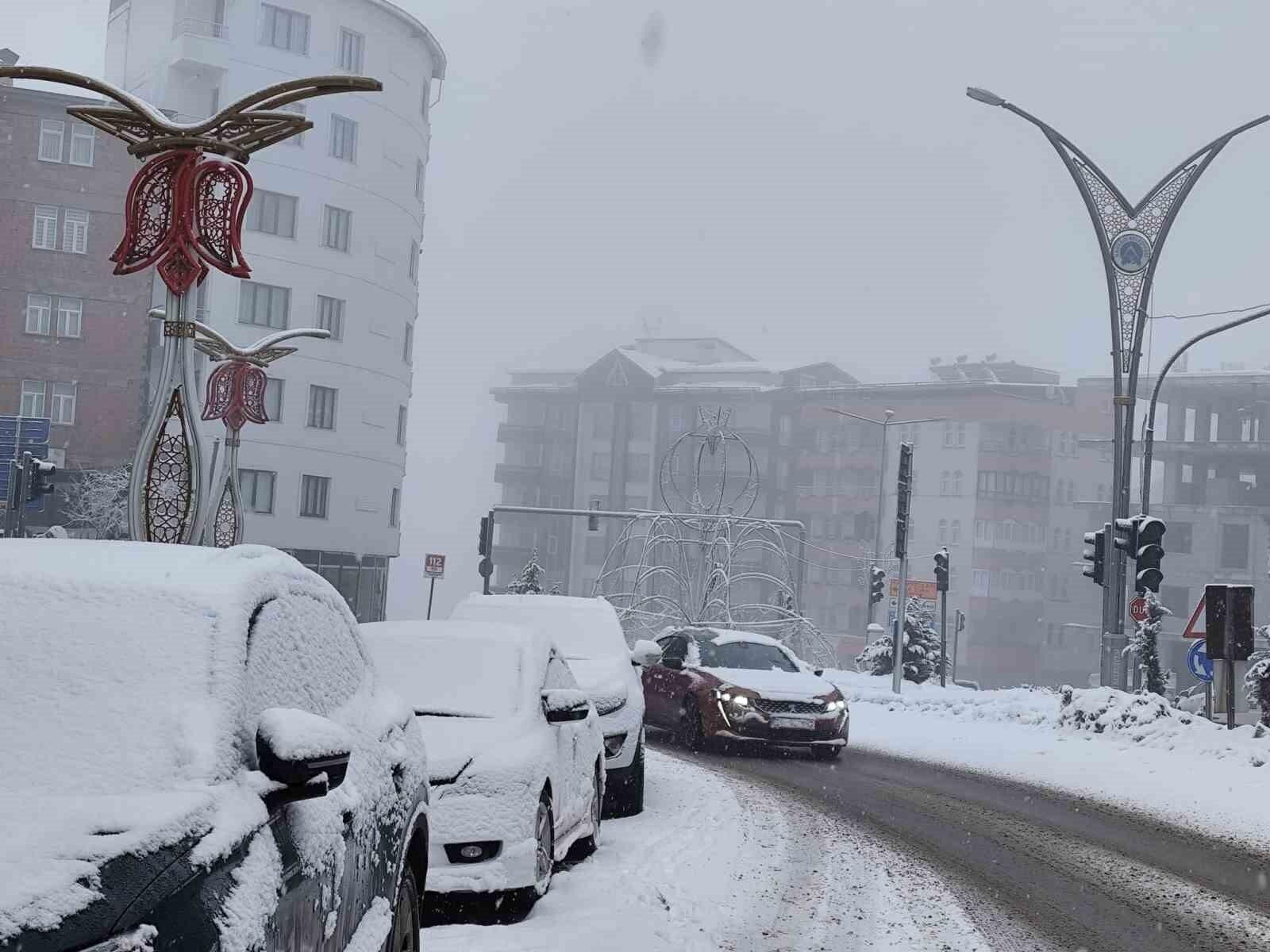 Hakkari’de Kar ve Sis Hayatı Olumsuz Etkiledi