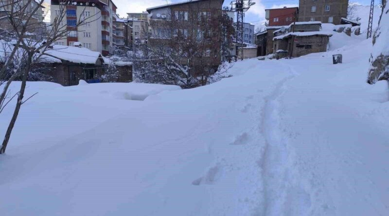 Hakkari'de Kar Yağışı Nedeniyle 18 Köy ve 64 Mezra Yolu Ulaşıma Kapandı 1