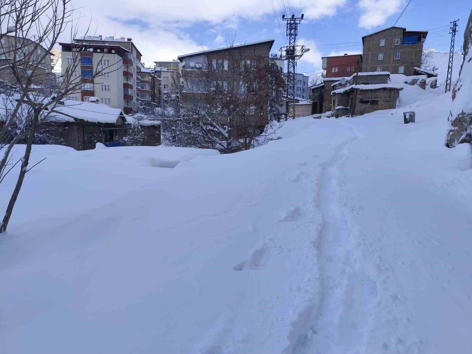 Hakkari’de Kar Yağışı Nedeniyle 18 Köy ve 64 Mezra Yolu Ulaşıma Kapandı