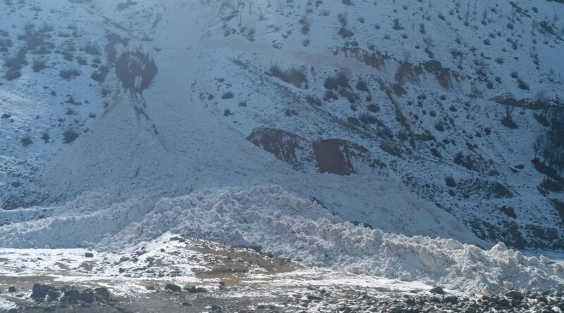 Hakkari'de Olgunlar Köyü'nde Çığ Sonrasında Yol Açıldı 1