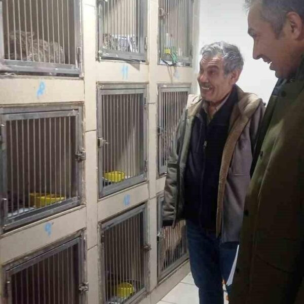 Hayvan bakımevleri ve petshop'lar için düzenlenen denetim-2