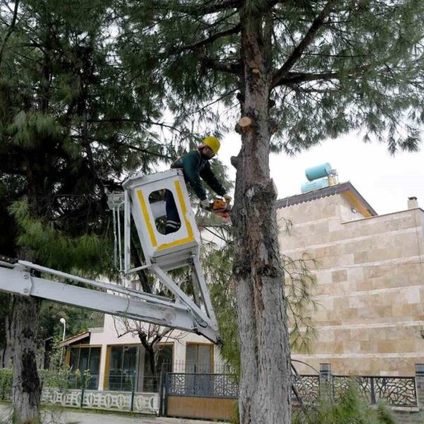 Kadıkalesi Mahallesi'nde temizlik çalışması-1