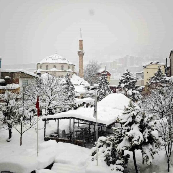 Kar yağışının etkisiyle zorlanan Artvin-1