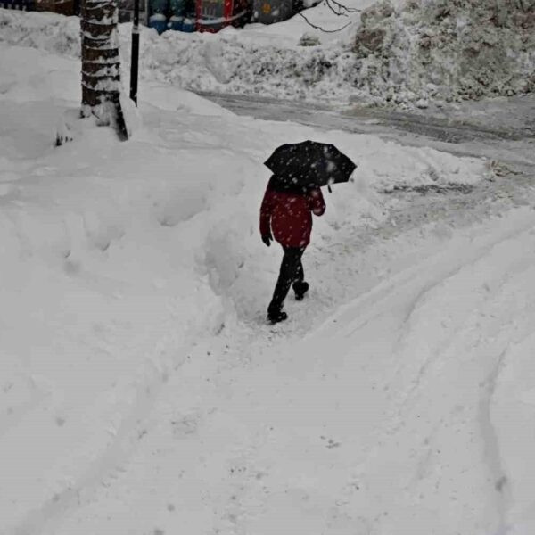 Kar yağışının etkisiyle zorlanan Artvin-4