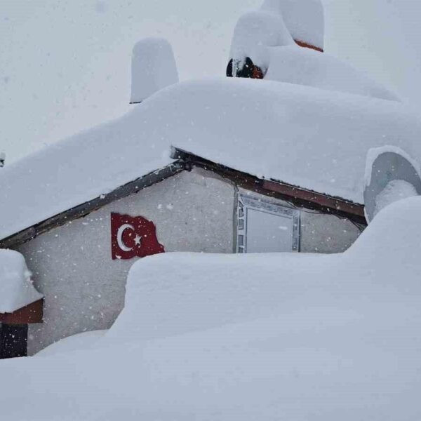 Kar yağışının etkisiyle zorlanan Artvin-7