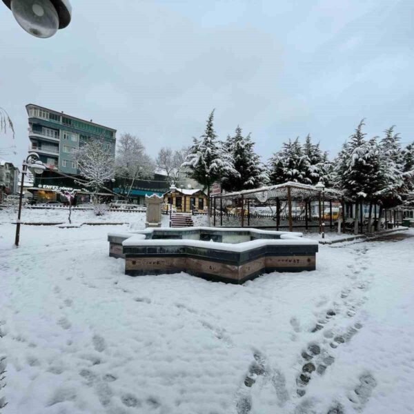 Kar yağışıyla beyaza bürünen Kavak ilçesi-1