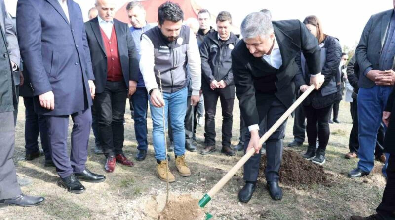 Karabük'te 3 Bin 500 Sumak Fidanı Toprakla Buluştu 1