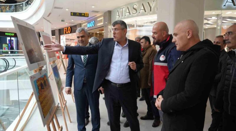 Kastamonu'da Uluslararası Tarım, Orman ve İnsan Fotoğraf Yarışması'nda Dereceye Giren Çekimler Sergilendi 1