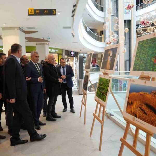 Kastamonu'da Uluslararası Tarım, Orman ve İnsan Fotoğraf Yarışması'nda dereceye giren fotoğraflar-1