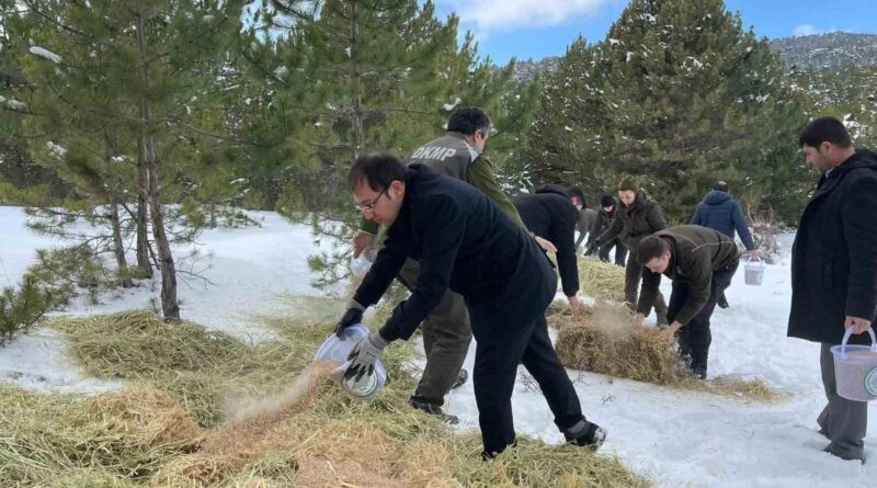 Kastamonu Tosya'da Yaban Hayvanları İçin Yem Bırakıldı 8