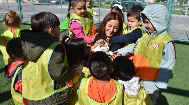 Kayseri'de Küçük Dostlar Kedi Kasabası 13 Bin Aile ve 41 Bin Kişiyle Rekor Ziyaretçi Yıkılıyor 1