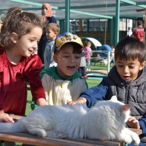 Kayseri'de Küçük Dostlar Kedi Kasabası'nda kedilerle vakit geçiren çocuklar.-3