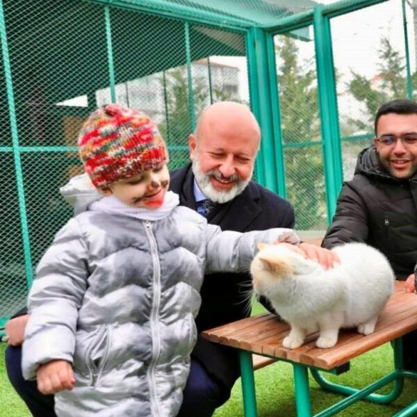 Kayseri'de Küçük Dostlar Kedi Kasabası'nda kedilerle vakit geçiren çocuklar.-5